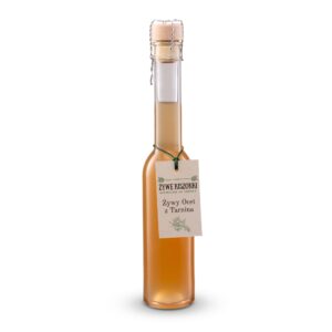 Żywy Ocet z Tarniny 100 ml Żywe Kiszonki